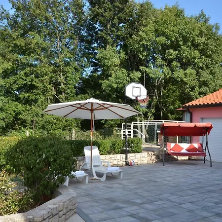 Vetva * Nedescina